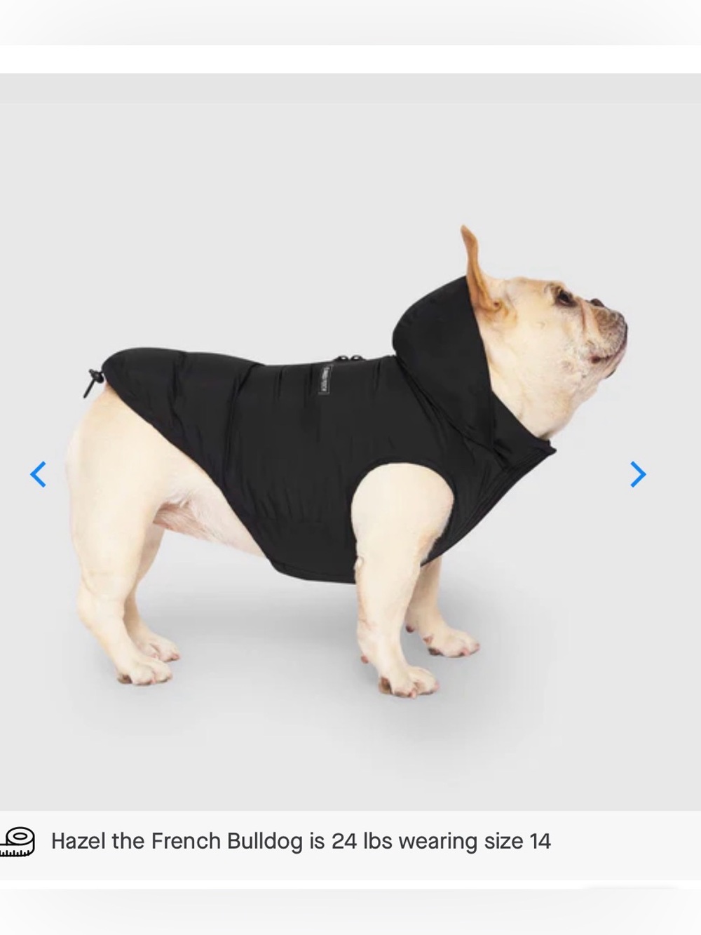 NWOT Canada Pooch Black Waterproof Puffer Size 14+